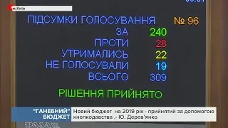 Ю. Дерев'янко: Бюджет на 2019 рік прийнятий за допомогою "кнопкодавства"