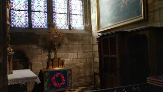 Notre Dame before fire. February 2019. 4k video