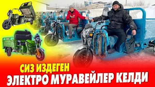 200 даана ЭЛЕКТРО МУРАВЕЙЛЕР келди ~ Тандап АЛСАҢЫЗ болот