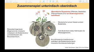 Vorträge - Biodiversitätsverlust und Pestizide - 2. Teil - 14.05.2021 mit Diskussion