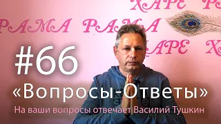 "Вопросы-Ответы", Выпуск #66 - Василий Тушкин отвечает на ваши вопросы