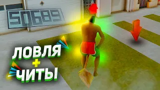 ЛОВЛЮ ДОМА С ЧИТАМИ! - ЗАБАНЯТ АДМИНЫ? ARIZONA RP GTA SAMP