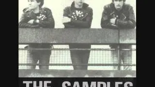 The Samples-"Fight For Your Life"