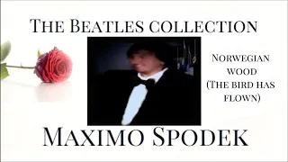 MAXIMO SPODEK, THE BEATLES COLLECTION, PART 1, INSTRUMENTAL LOVE SONGS, BEAUTIFUL PIANO