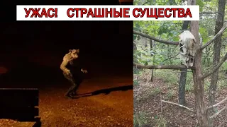 Странные Существа - Оборотни, Снежный Человек