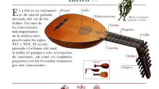 Instrumentos musicales de cuerda