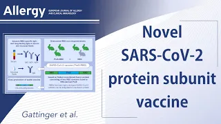 In vitro and in vivo characterization of novel SARS-CoV-2 protein subunit vaccine