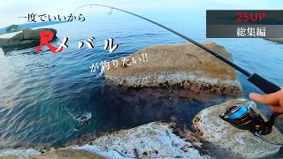 【デカメバルスペシャル】一度でいいから尺メバルが釣りたい!! 【25UP 総集編】