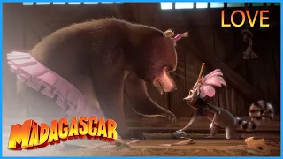 DreamWorks Madagascar | It's Time For LOVE! | Madagascar 3 : Europe's Most Wanted | Kids Movies