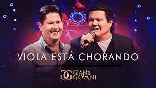 Gian e Giovani - Viola esta chorando