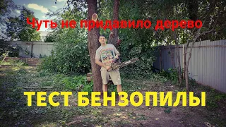 Чуть не придавило ДЕРЕВОМ! Обзор и тест бензопилы.