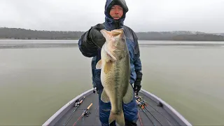 Giant Chickamauga bass cranking stumps makes a cold, rainy February day better!