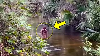 What This Cam Captured in a River Shocked the Whole World