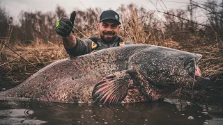 PECHE du SILURE  : on trouve rapidement les POISSONS en période HIVERNALE !