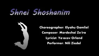 Shnei Shoshanim - IFD Israeli folk dancing for beginners