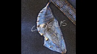 Chrysalis album | peaceful melodic ambient (2022)