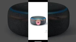 TikTok: Alexa vs. Siri