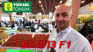 Буллз F1 На выставке GrowTech 2019