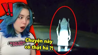 Đừng Xem Video Này Một Mình..!! | Mèo Simmy Reaction Video Siêu Kinh Dị Trên Tik Tok Phần 2 |