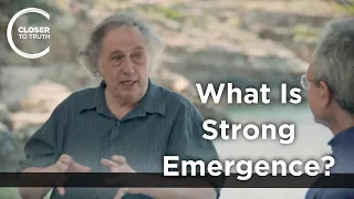 Barry Loewer - What Is Strong Emergence?