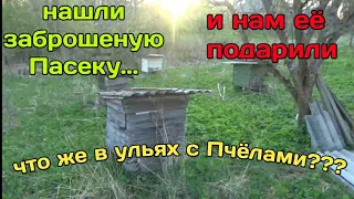 Нашли заброшеную Пасеку с Пчёлками,а что там внутри???давайте посмотрим😉(Часть 1)