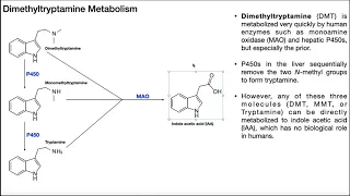 Dimethyltryptamine [DMT] | Biosynthesis, Mechanism, & Metabolism