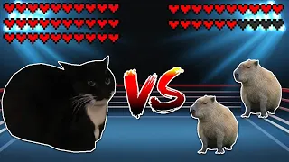 Giant Maxwell cat vs two Capybaras! Meme battle