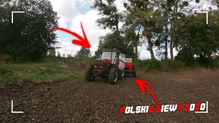 ▶Polski Siew Pszenicy 2020 !☆Ursus 1004 & Ursus C 385 w Akcji !☆Wieś szaleje!!