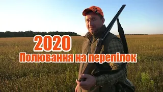 Полювання на перепілок 2020 | Путивль Україна