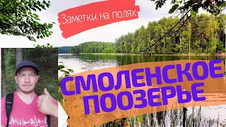 СМОЛЕНСКОЕ ПООЗЕРЬЕ | Куда уехать в лес и какие красоты можно увидеть на туристических тропах?