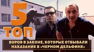 ТОП 5 воров в законе, которые сидели в  "Дельфине"