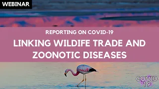 Webinar: The Role of the Wildlife Trade in the Spread of Zoonotic Diseases