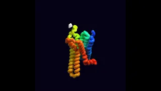 D2 dopamine receptor