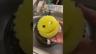 Scrubdaddy vs a regular sponge #cleaningvideos #cleaningmotivation #scrub #cleaningtips #cleanwithme