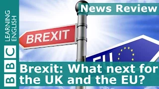 Brexit - what next for the UK and the EU?: BBC News Review