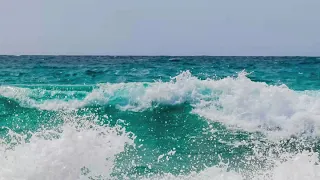 Sounds of the sea l Seagulls l Tropical beach l Music for sleep and relaxation l Sounds of the surf