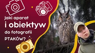 Jak wybrać aparat i obiektyw do fotografii ptaków ?