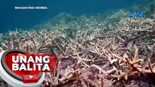 Mga dating nangingisda sa ilegal na paraan tumutulong na sa pangangalaga ng coral reefs | UB