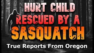 HURT CHILD RESCUED BY A SASQUATCH -  True Reports From Oregon
