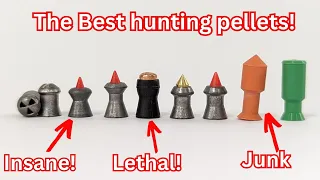 Accuracy testing the most extreme hunting pellets inc JSB Hades, Predator and Gamo lethal!