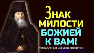 Мы не знаем судеб Божиих, Он все творит на пользу!  Преподобный Макарий Оптинский