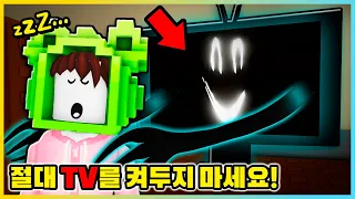 절대 TV를 켜고 자면 안돼요!! 저주에 걸린 티비를 켜고 잤더니..? [로블록스] 새상놀이터