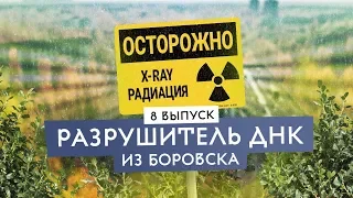 Радиация. Облучение продуктов. Это вам не Чернобыль. Tecleor.