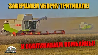 2 Комбайна Claas Lexion 580 на финешном етапе убри тритикале 2021!Отправили все Мтз на базу!