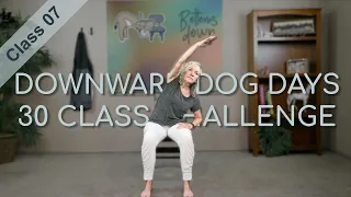 Chair Yoga - Dog Days Class 7 - 35 Minutes Seated