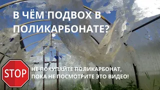 Какой поликарбонат купить для теплицы? Как выбрать теплицу из поликарбоната. Часть 2.