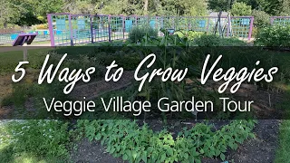 Urban Gardening: Five Ways to Grow Vegetables At Home