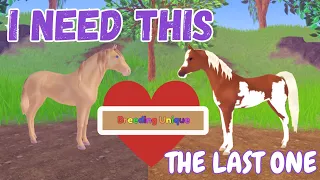 TRYING TO BREED THE LAST BREEDING UNIQUE COAT I NEED | Wild Horse Islands