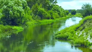 Самая Нежная и красивая, спокойная и грустная, для Души . Скажи жизни ДА!