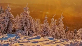 ТРОЛЛЮ И РАЗОБЛАЧАЮ КУРАТОРОВ ИГРЫ 'МОРЕ КИТОВ' СИНИЙ КИТ ,ТИХИЙ ДОМ - ЧЕЧЕНЦЫ  ХОТЯТ УБИТЬ КУРАТОРА